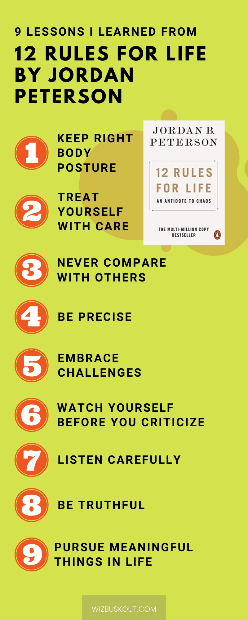 12 rules for life summary infographic