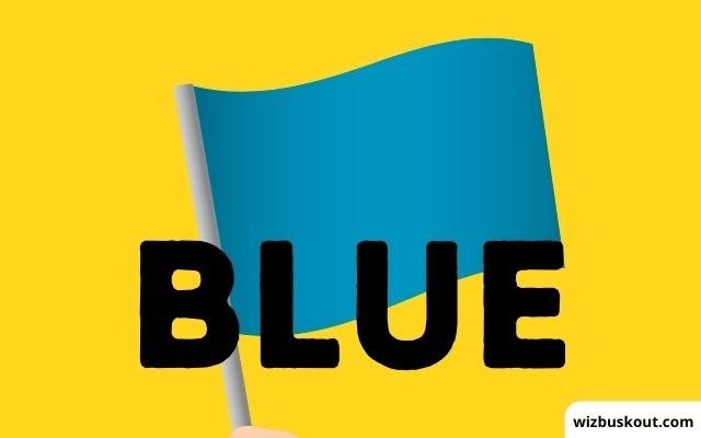 a blue flag representing blue behavior