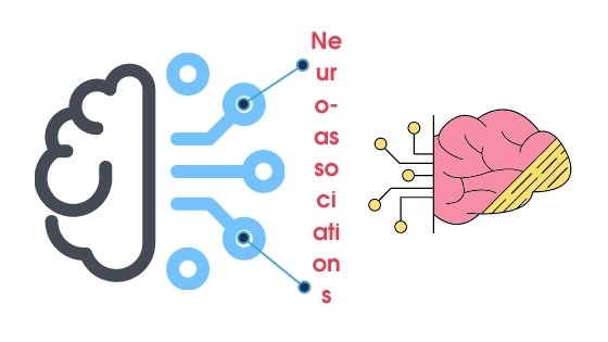 associations in brain