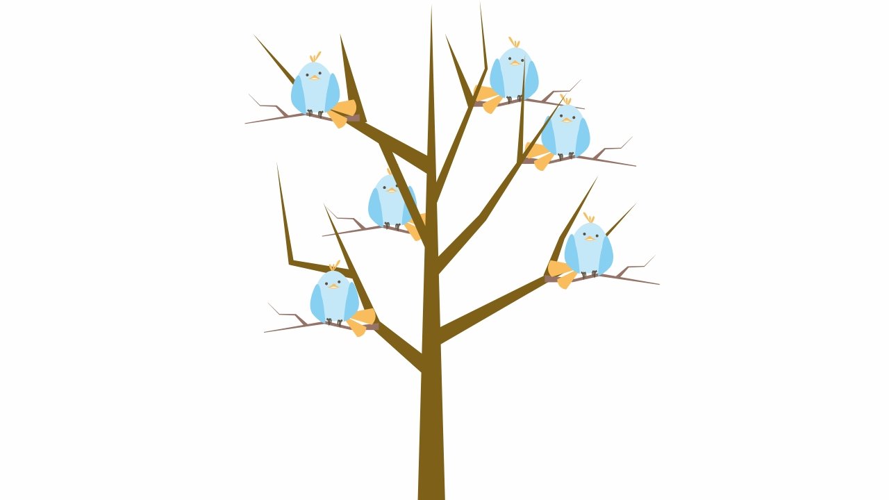 birds sitting on a leafless tree