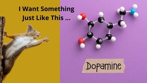 dopamine junkie